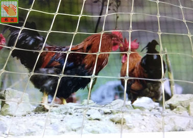 Customized Clear Plastic Chicken Poultry Fence, Plastic Poultry fence, High Tensile Strength, 1.5M High